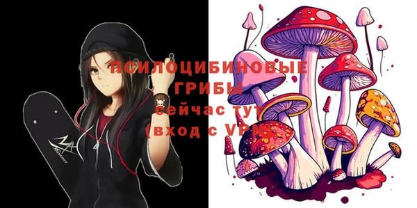 apvp Киренск