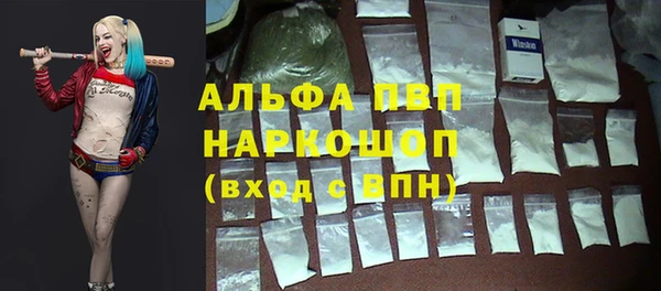 ECSTASY Кинешма