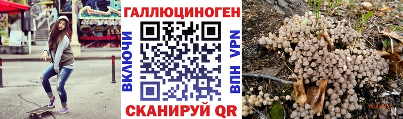 Купить где  Бабушкин  Галлюциногенные грибы Psilocybe 