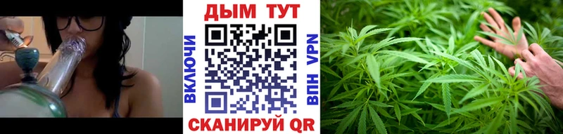 Бошки марихуана Bruce Banner Бабушкин